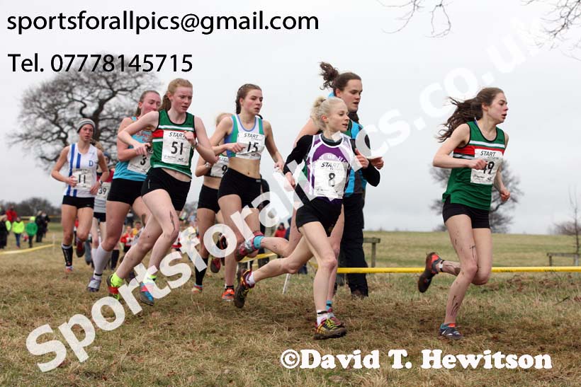 Junior womens 2018 Northern Cross Country Champs., Harewood House, Leeds. Photo: David T. Hewitson/Sports for All Pics